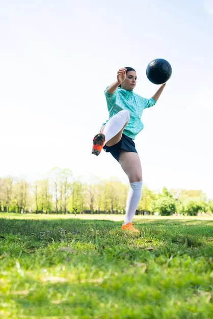 安装引导与操作示意